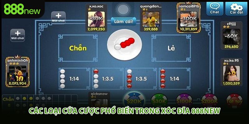 Các loại cửa cược phổ biến trong xóc đĩa 888new