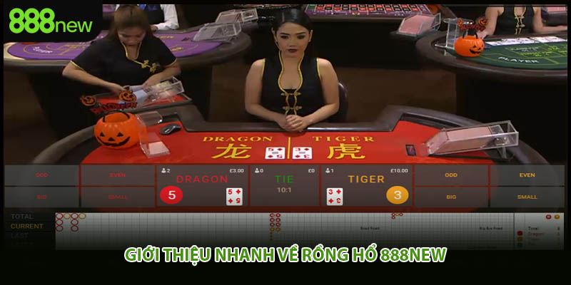 Giới thiệu nhanh về rồng hổ 888New