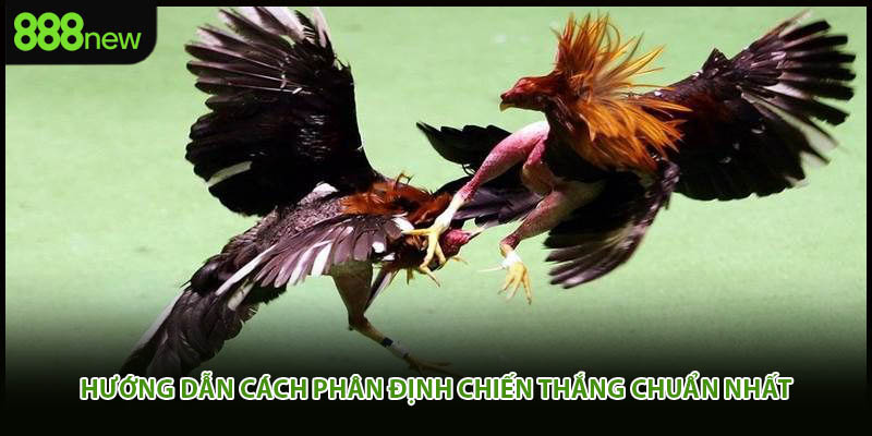 Hướng dẫn cách phân định chiến thắng chuẩn nhất