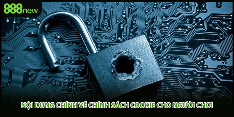 Nội dung chính về chính sách cookie cho người chơi